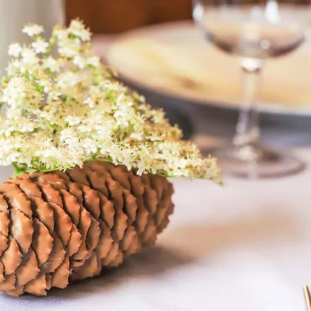 Mungg By Interhome نينداز